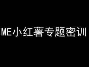 ME小红薯专题密训-小红书电商教程-云慧网创