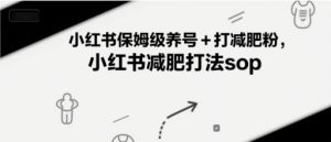 小红书保姆级养号+打减肥粉,小红书减肥打法sop-云慧网创