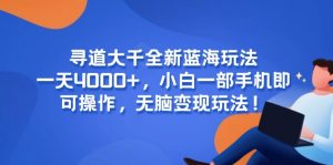 寻道大千全新蓝海玩法,一天4000+,小白一部手机即可操作,无脑变现玩法!-云慧网创
