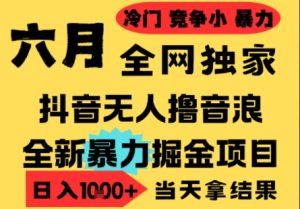 25年6月高爆抖音无人直播最新撸音浪掘金项目,小白可做,无脑日入1k+,门槛低可批量矩阵【揭秘】-云慧网创