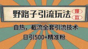 2024首发野路子引流玩法截流自热全平台打法,全自动引流【日引2000+精准客户】-云慧网创