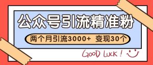 公众号私域获客,软文引流个人IP打造日引30+,快速沉淀起自己的私域流量池-云慧网创