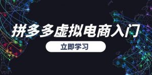 拼多多虚拟电商入门,精准选品方法论,无货源模式起盘技巧-云慧网创