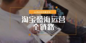 淘宝蓝海运营全链路,从选品到流量变现,小类目突围完整方案-云慧网创