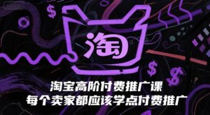 淘宝高阶付费推广课,每个卖家都应该学点付费推广-云慧网创