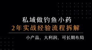 私域做钓鱼小药 每单利润3张+ 详细流程拆解-云慧网创