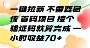 一键拉新 不需要回传 首码项目 接个验证码就算完成 一小时收益70+【揭秘】-云慧网创