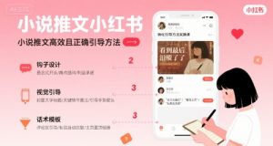 小说推文小红书高转化引导方法实操课,小说推文高效且正确引导方法-云慧网创