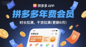 拼多多年费会员,实经验分享操,时长拉满,干货拉满(更新8月)-云慧网创