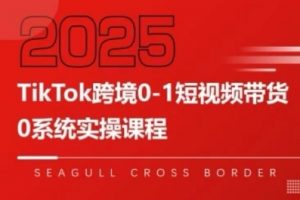 TikTok跨境0-1短视频带货,系统拆解TikTok跨境带货全链路,实现跨境可持续盈利-云慧网创