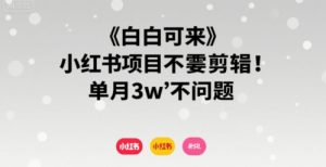 小白可来 小红书项目不需要剪辑 单月3w不是问题-云慧网创