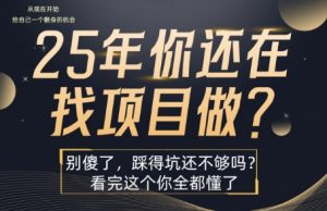 25年,你还在疯狂的找项目吗?别傻了,看完这个你都懂了【揭秘】-云慧网创