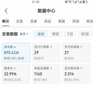 2025版多多冷门虚拟U盘项目玩法,单店铺月变现1w+,稳赚不赔!-云慧网创