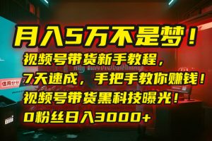 月入5万不是梦!视频号带货新手教程,7天速成,手把手教你赚钱!视频号…-云慧网创