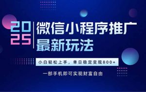 25年下半年微信小程序推广最新玩法,轻松日入800+-云慧网创