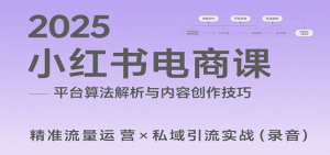 2025小红书电商课:解析算法,创作高转化内容,助力卖家获取流量实现变现(录音)-云慧网创