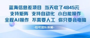 蓝海信息差项目当天收米1k+ 支持矩阵支持自动化小白能操作全程AI操作不需要人工你只要会电脑-云慧网创