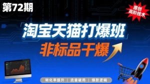 淘宝天猫打爆班原创高阶技术第72期,非标品干爆-云慧网创