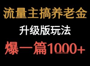 流量主之养老金升级版玩法  爆一篇收益1k+-云慧网创