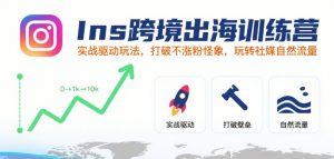 Ins跨境出海训练营,实战驱动玩法,打破不涨粉怪象,玩转社媒自然流量-云慧网创
