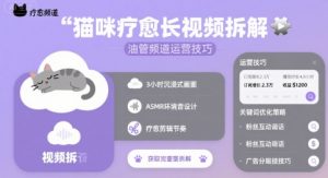 猫咪疗愈长视频拆解 &油管频道运营技巧-云慧网创