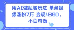 用AI做私域玩法,单条视频涨粉7W变现4.3k,小白可做-云慧网创