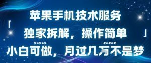 苹果手机技术服务,独家拆解,操作简单,小白可做,月过1W不是梦-云慧网创