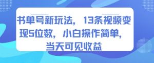 书单号新玩法,13条视频变现5位数,小白操作简单,当天可见收益-云慧网创