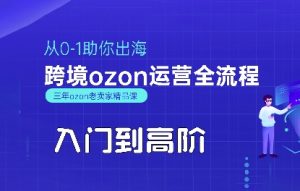 OZON入门到高阶全流程,从0-1助你出海,跨境ozon运营全流程-云慧网创