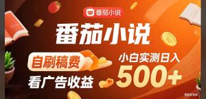 稳定3年官方番茄小说自刷稿费小白单日500+-云慧网创