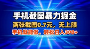 手机截图暴力掘金,两张截图0.7米,一部手机就能做,轻松日入3张+【揭秘】-云慧网创
