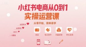 小红书电商从0到1实操运营课,从零开始,简单易学-云慧网创