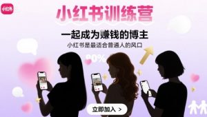 小红书训练营一起成为賺钱的博主,小红书是最适合普通人的风口-云慧网创