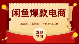 闲鱼卖高利润产品,上架即可出单,每天利润1000+-云慧网创