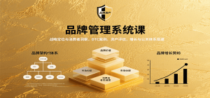 品牌管理系统课:战略定位与消费者洞察,DTC案例、资产评估,增长与公关体系搭建-云慧网创