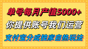 单月产值5000+,支付宝分成代运营,你提供账号坐等分钱,我们帮你运营-云慧网创