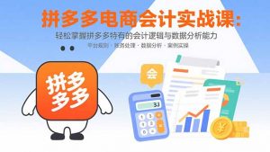 拼多多电商会计实战课:轻松掌握拼多多特有的会计逻辑与数据分析能力-云慧网创