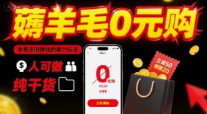 薅羊毛0元购,免单还倒挣钱的暴力玩法,人人可做,纯干货-云慧网创