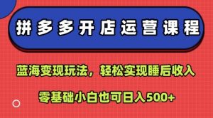 拼多多开店运营课程:蓝海变现玩法,轻松实现睡后收入,零基础小白也可日入5张-云慧网创