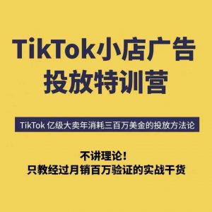 TikTok小店广告投放特训营,6天破局计划专治各种“投不动”,教你经过月销百万验证的实战干货-云慧网创