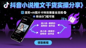 抖音小说推文干货实操分享,混剪+AI图片卡特效爆量全流程,0粉丝0门槛可做-云慧网创