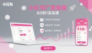 小红书广告投放从0到1的实战课,学完即可开始投放,拒绝无效广告消耗-云慧网创