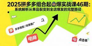 2025拼多多组合起爆实战课46期:系统解析从单品裂变到全店爆发的完整路径-云慧网创
