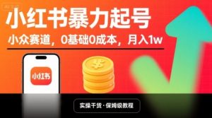 小红书暴力起号,小众赛道,0基础0成本,月入1w-云慧网创