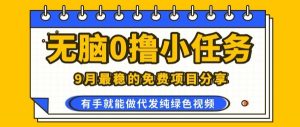 0学费0风险,2025风口项目,无脑免费撸,代发纯绿色视频,一部手机人人可做【揭秘】-云慧网创