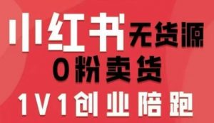 小红书无货源0粉电商课,开店准备、选品策略、笔记撰写、视频剪辑、数据分析、账号打造、资料文档-云慧网创
