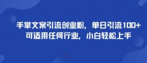 手掌文案引流创业粉,单日引流100+,可适用任何行业,小白轻松上手-云慧网创