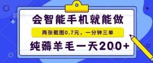 手机项目,二十秒一单,纯薅羊毛一天2张+做就有【揭秘】-云慧网创