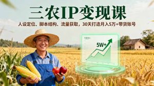 三农IP变现课,人设定位、脚本结构、流量获取,30天打造月入5万+带货账号-云慧网创