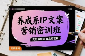 养成系IP文案营销密训班,实战中学习真高级营销-云慧网创
